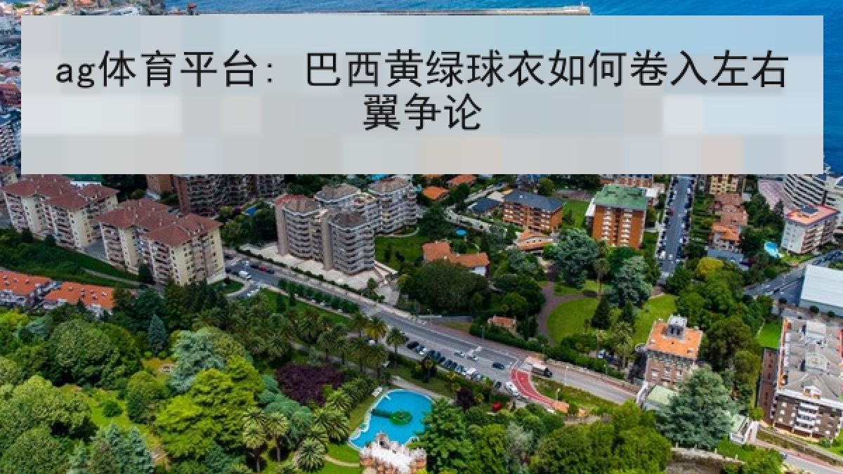 ag体育平台: 巴西黄绿球衣如何卷入左右翼争论 ag体育平台: 巴西黄绿球衣如何卷入左右翼争论