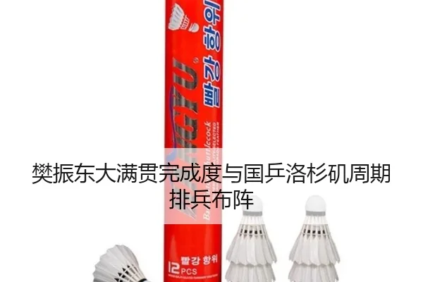 樊振东大满贯完成度与国乒洛杉矶周期排兵布阵