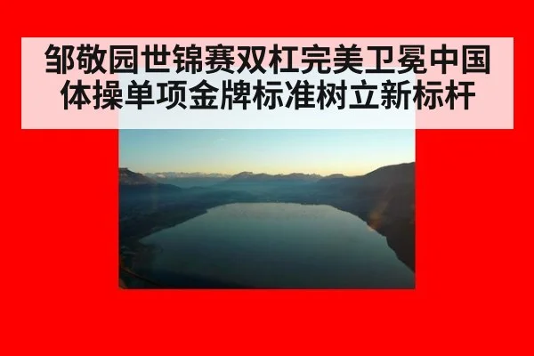 邹敬园世锦赛双杠完美卫冕中国体操单项金牌标准树立新标杆