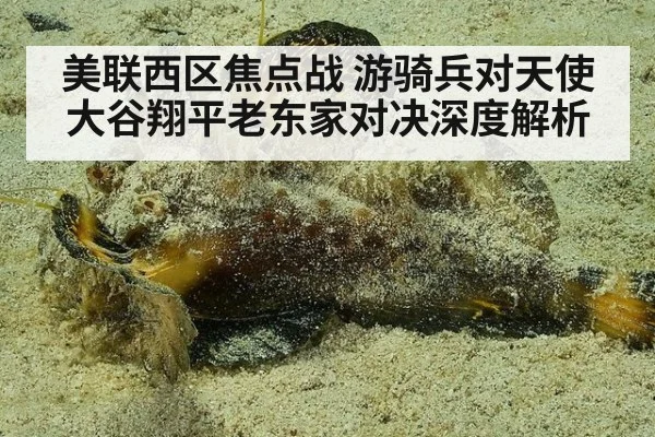 美联西区焦点战 游骑兵对天使 大谷翔平老东家对决深度解析
